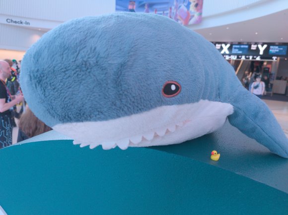 IMG_20250904_164526 Atkelar Cat