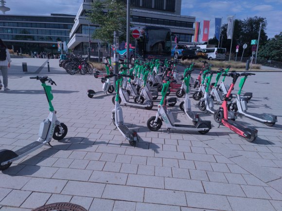 IMG_20250905_154213 Atkelar Cat