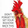 Reset Rooster Scorch