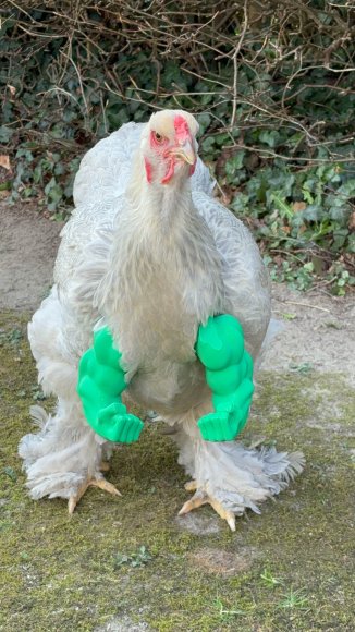 1767948862977_Scrimno_Longbow