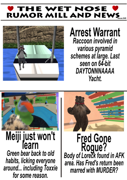 News48a_Washbear-Did_I_forget_again-lol