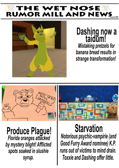 News66a_Washbear