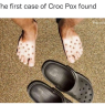 Croc_Pox_Scorch_Science