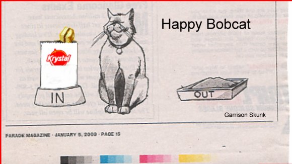 Happy_Bobcat