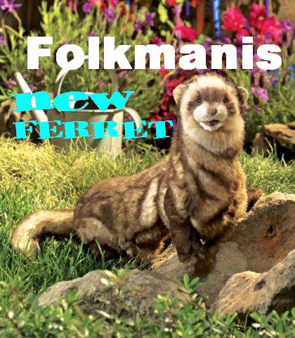 D-Folkmanis_Ferret