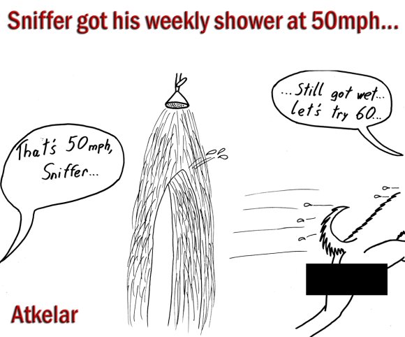 Atkelar-Sniffer-Shower50